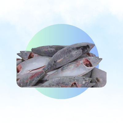 Sashimi Grade Tuna GG