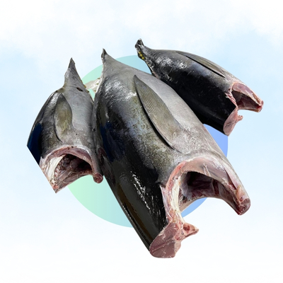 Yellow Fin HG (Fresh)